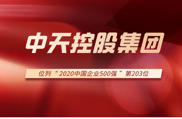 304am永利集团列2020中国企业500强第203位！